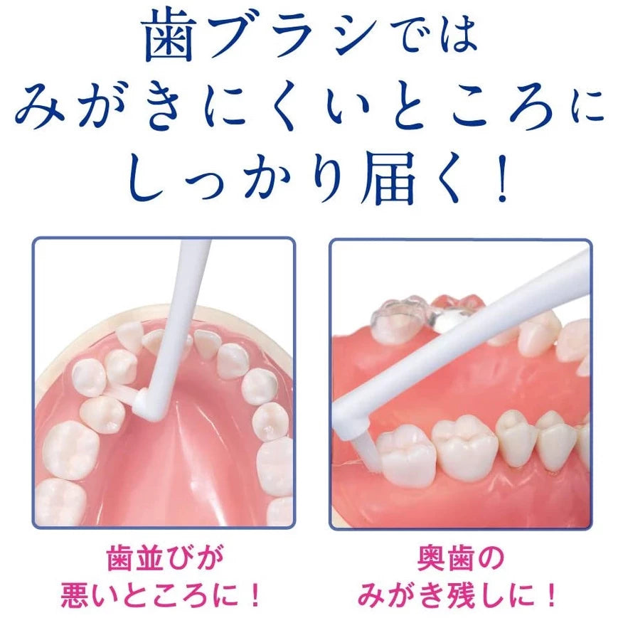 LION Clinica Interdental Brush (Japan)
